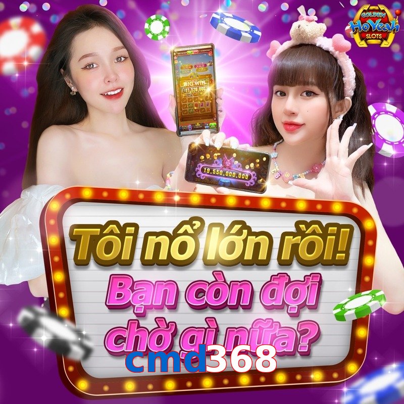cmd368