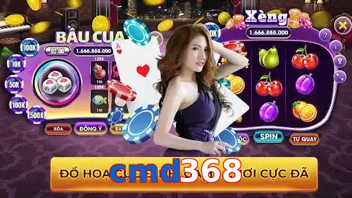 cmd368