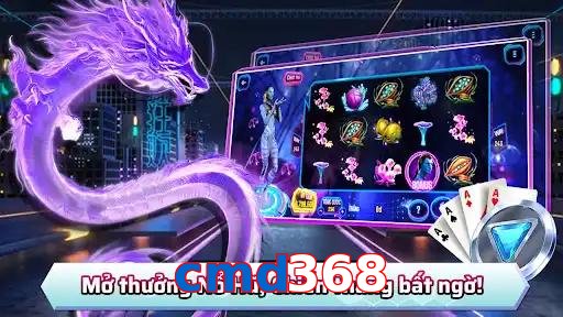 cmd368