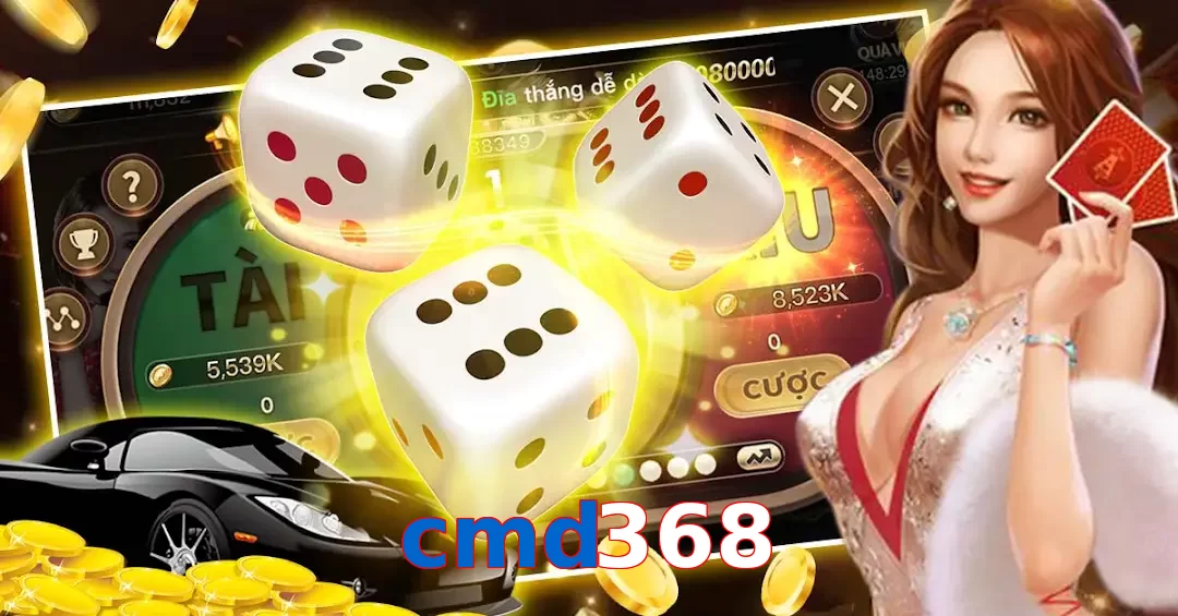 cmd368